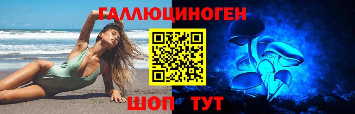 Галлюциногенные грибы прущие грибы  Вход с VPN  Галлюциногенные грибы Psilocybine cubensis  Усть-Джегута 