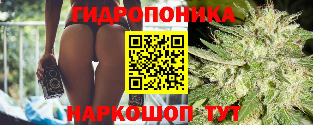 Канабис MAZAR  Канабис White Widow  Конопля план  Усть-Джегута  Вход с VPN 